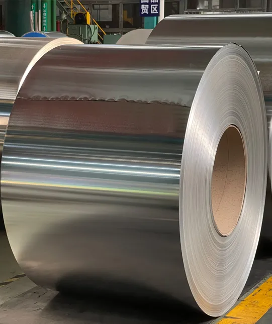 Tin Free Steel (TFS)